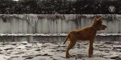 34…35…34…35…34…35