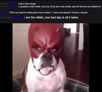 How xqc felt after typing this