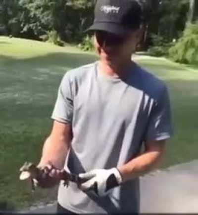 Stay Vigilant: Mind Your Surroundings