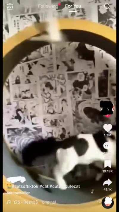 Mother of the Year! 🏆