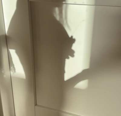 Do you like watching me? Do it harder, check me out on FANSLY 💦🫦 I'm in the top 500 creators