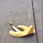 Why You NEED TO Laugh! At this Vine!