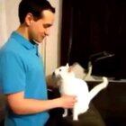 All animals have feelings ❤️❤️