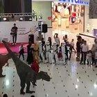 Vatandaşı Olmasan Eğlenceli Ülke