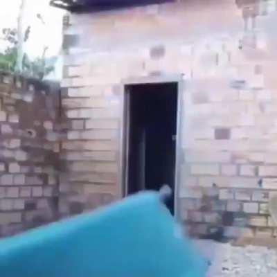 se as motivações da vida fossem literais