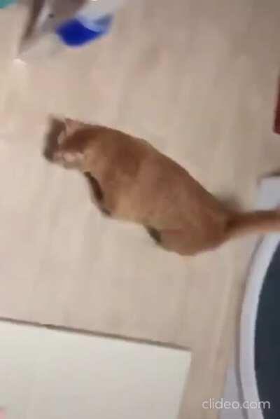 That's enough for today