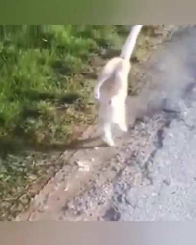 this made me chuckle