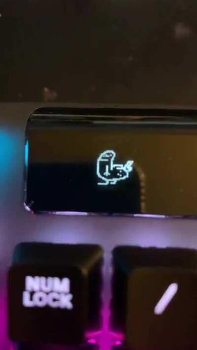 Spent 200$ on a keyboard just to do this