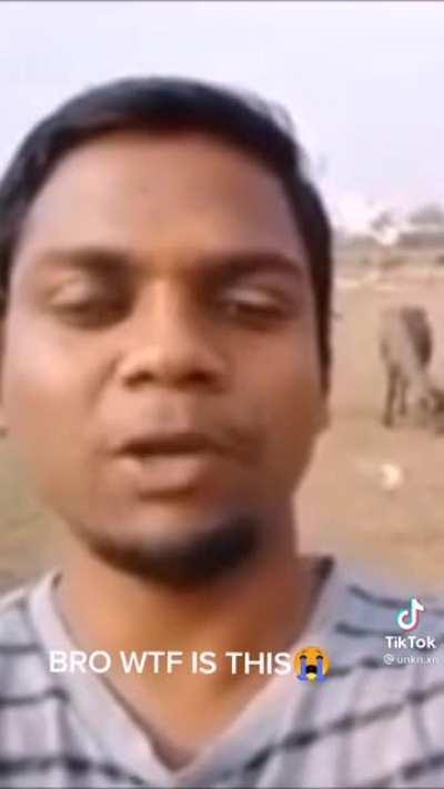 Fortnite burger gang