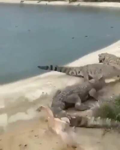 Subaru with High Luck Stats