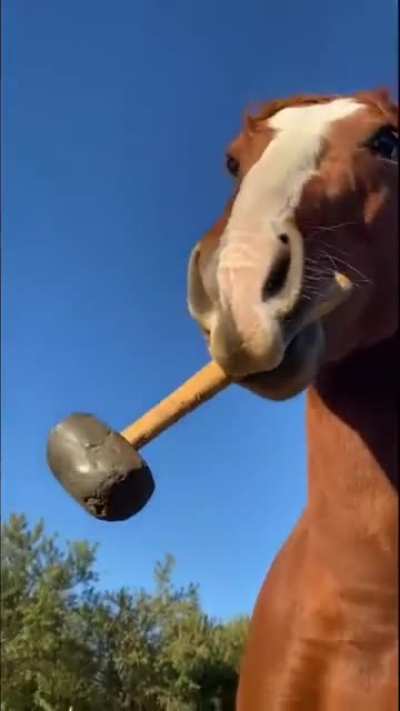 Wunk is going to extract this confession of yours...