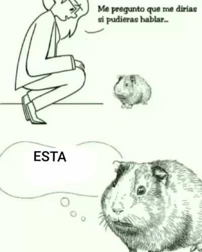 Noche de cumbieros 🤑🤙