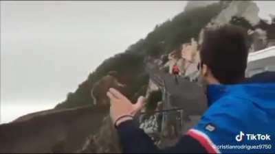 Los pibardos😎😎