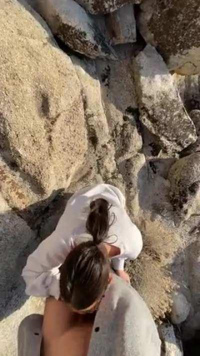 Hiking head is the best because he can keep a lookout for others 🫡 [gif]