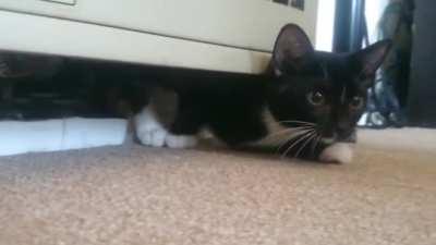 Ben Solo Makes an Entrance