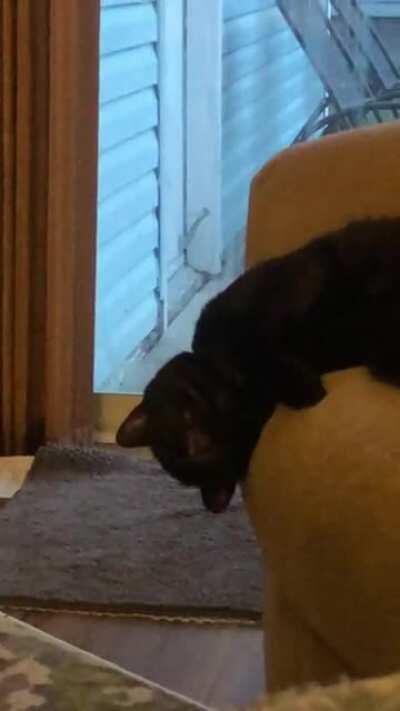 Mans gotta sleep when a gotta sleep..