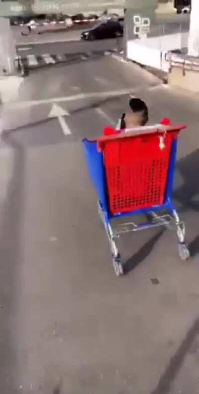 Riding in a shopping cart