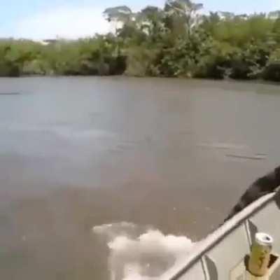 Fishermen Found A Huge Anaconda.