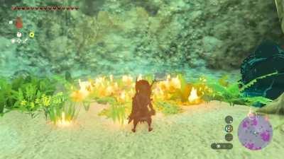 Bokoblin would much rather dissapear than deal with Link