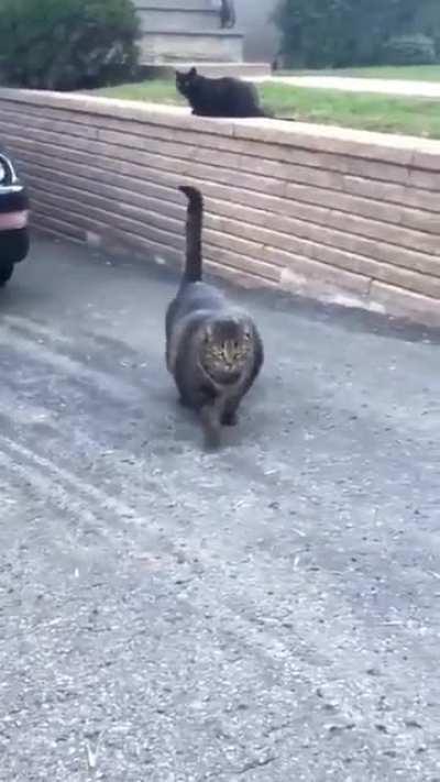 Раскачался.