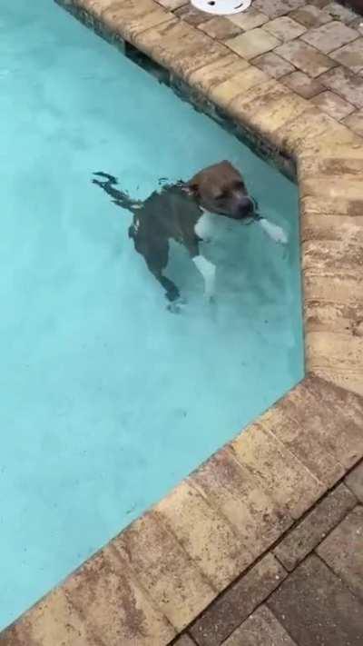 She’s never done that before!