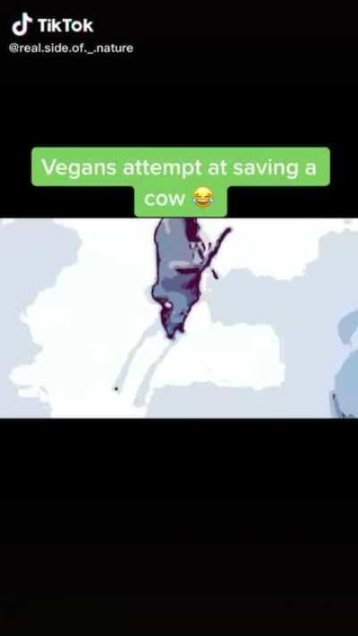 About to be ground beef