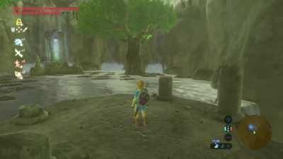 [BOTW] [SSHD] I'm clearly not the only one who noticed it.