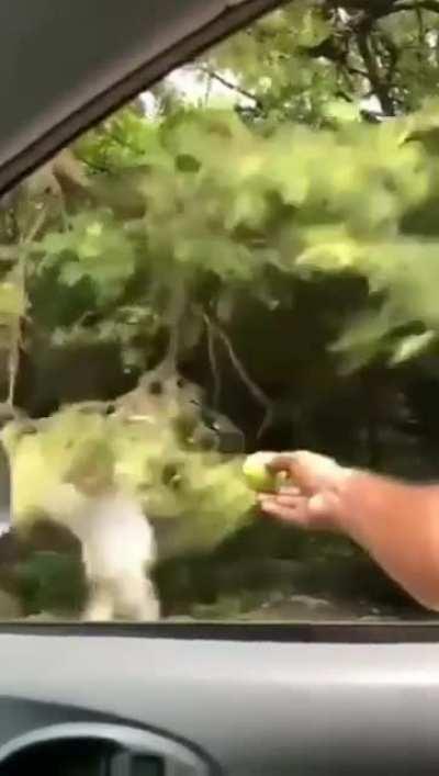 to stand on the edge