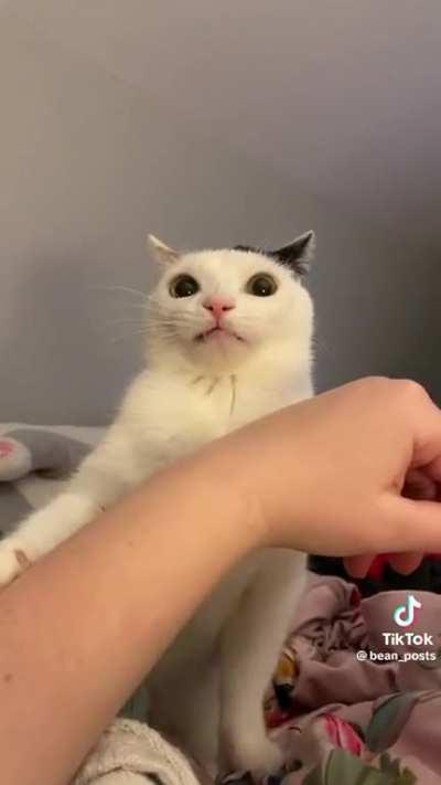 When self awareness hits