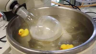 Ducklings in the rotavap bath