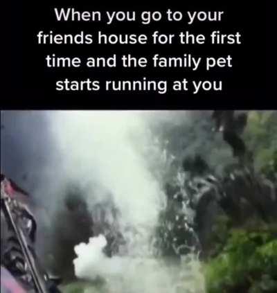 I'm giving you freedom!