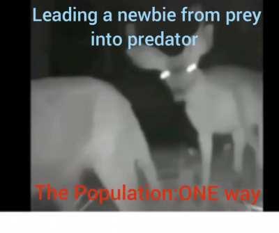 True story sometimes with randoms 👍