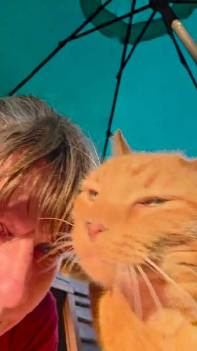 Love is a butt in your face.