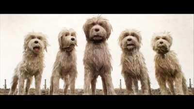 Nene's Husbands Tonight Be Like...