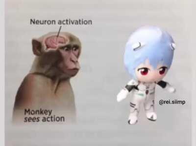 monke
