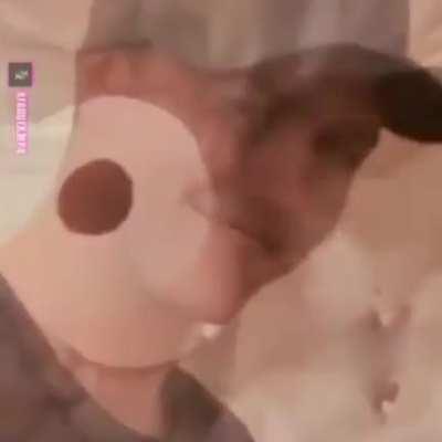 NANIKPosting - Video #3843