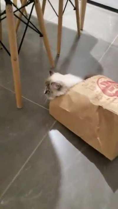 Must go into bag😁