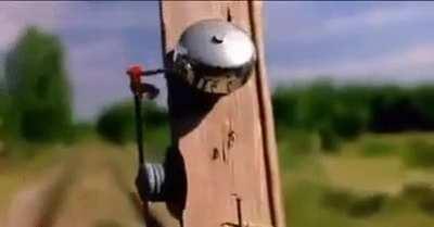 This woman didn't let blindness get in the way of her passion for archery