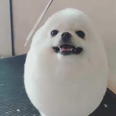 Do you like my new style?