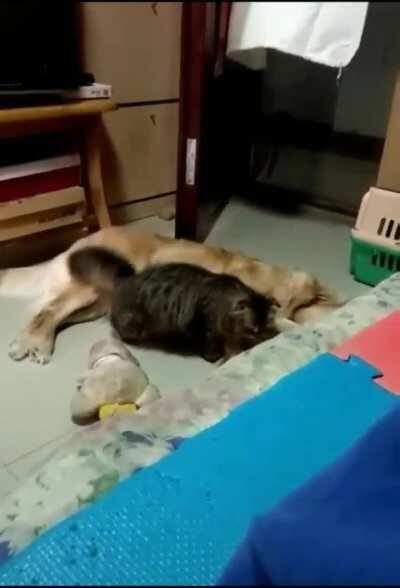 Little spoon please. Thank you