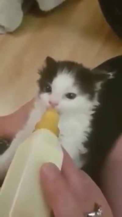 Ailerons are functional and ready for takeoff