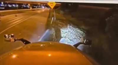 That moment when common sense quits