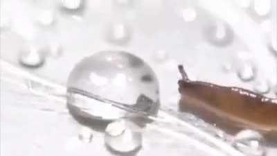 Thirsty drink gets a slug