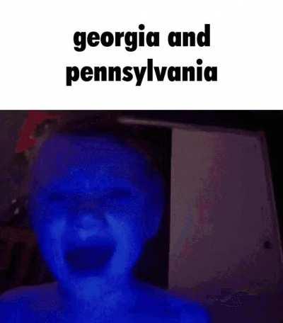 average election watcher