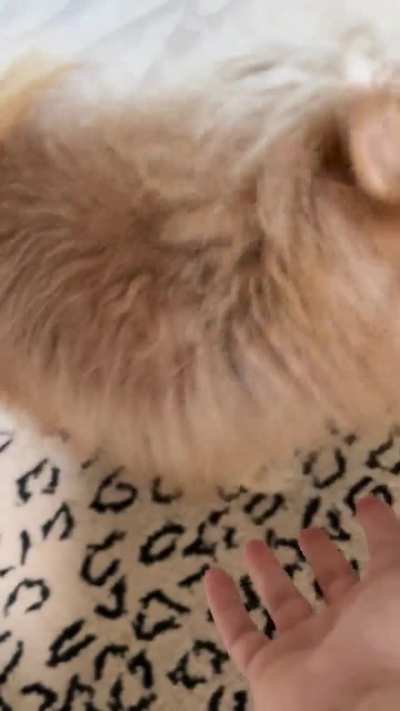 I’ll Keep It Over Here, Thanks 😆