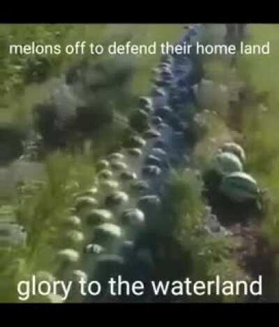 Melons = Mostly Water, Jesus Turned Water Into Wine in Isreal, Israel = The Holy Land. Math Checks Out...CRUSADE!!