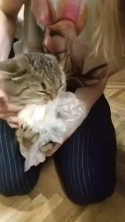 “I regret nothing! Do hear me? Nothing!”