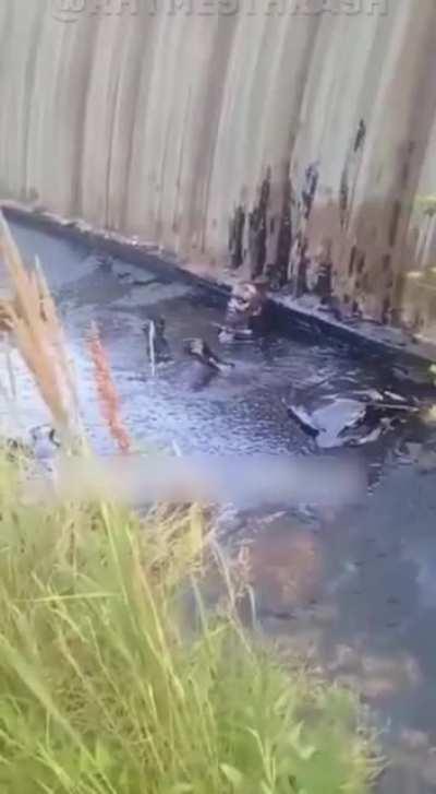 Man got stuck in sticky black Asphalt, for a whole night