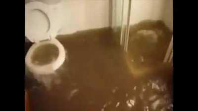 Wachen mi humilde alberca 😎