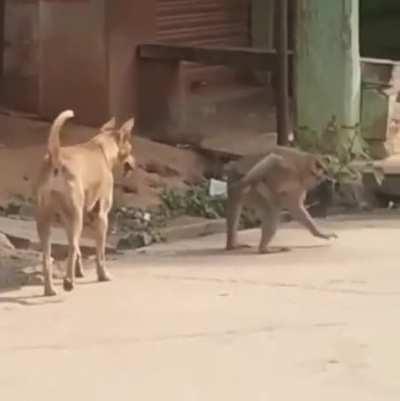 I think they know each other very well